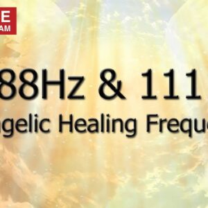 ðŸ”´ 888Hz & 1111Hz Angelic Healing Frequencies âœ¤ Make A Wish âœ¤ Abundance Meditation