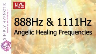 🔴 888Hz & 1111Hz Angelic Healing Frequencies ✤ Make A Wish ✤ Abundance Meditation
