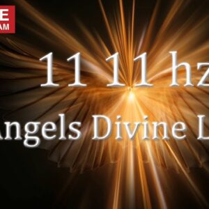 1111Hz Angels Divine Light âœ¤ Make Your Wish Come True âœ¤ Healing Energy