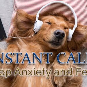 🔴 Instant Calm ✤ STOP Anxiety and Fear ✤ STOP Stress and Overthinking