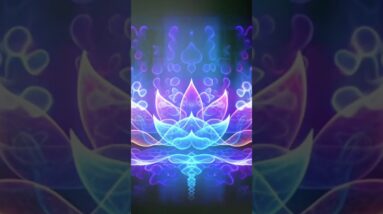 777hz + 432hz Chakra Balancing Raise Your Higher Vibration 🙏 Manifest Miracles and Positive Energy